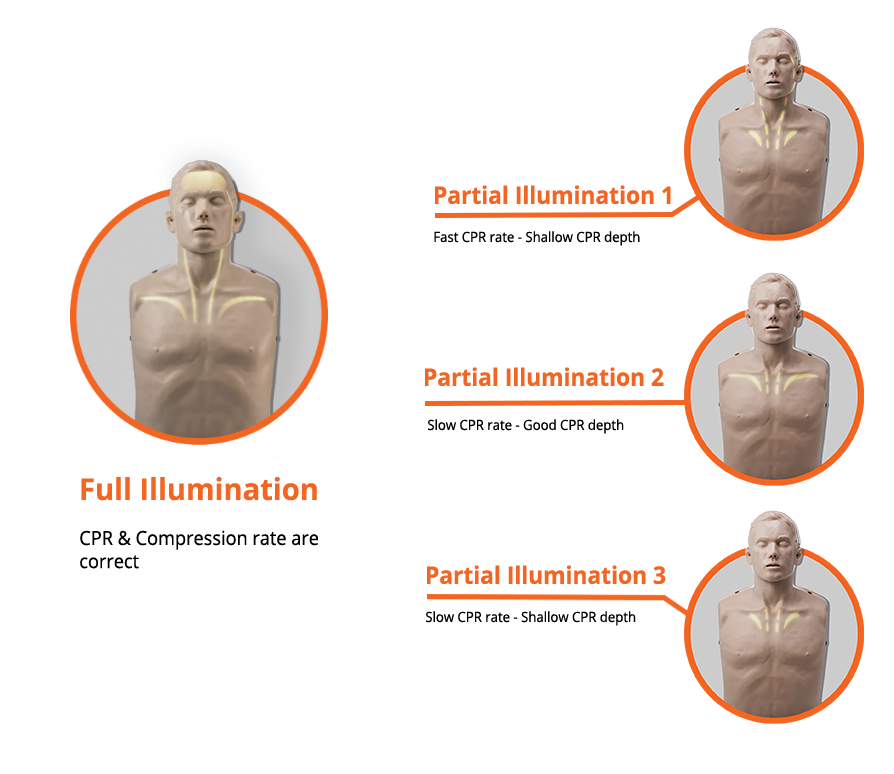 Brayden CPR Manikin Single - Red LED Blood Flow
